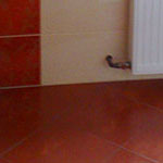 Remonty_TomaszDruba_galeria_33